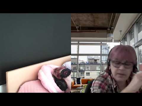 HIPNOZA REGRESIVA.RO-961.Nicolae,Sf.Nicolae si Tertipurile Entit. E.LASCU coord. si C.MORARU telepat