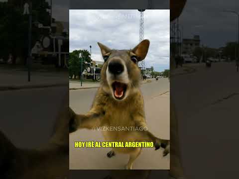 Estoy en la banda santiago del estero #sde #santiagodelestero  #sgodelestero #vizkensantiago