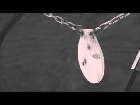 Slow Motion Video: Sabot Slug Shot from a Smoothbore...