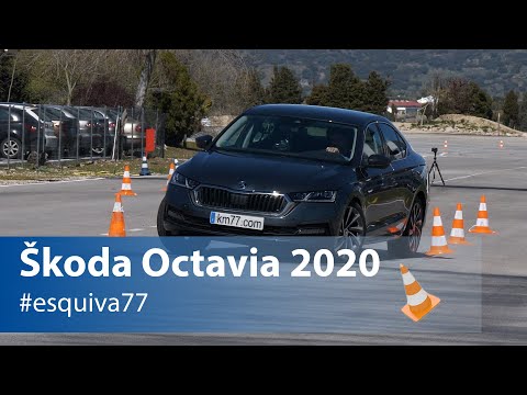 Škoda Octavia 2020 – Maniobra de esquiva y eslalon | Km77.com