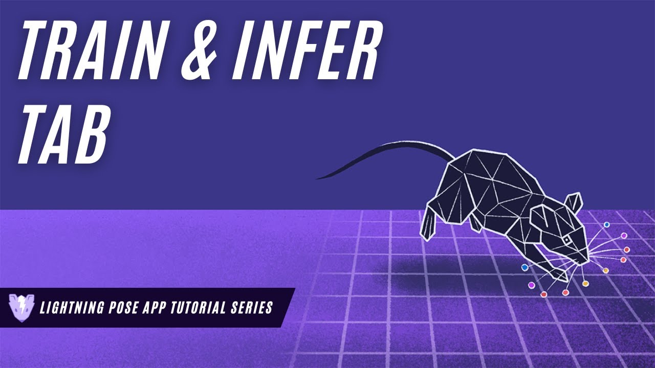 Lightning Pose App - Train and Infer Tab