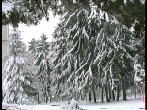 Zimski Ugođaj u Đurđenovcu 1993