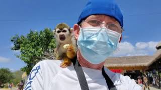 Jimmy Buffett - Back To The Island #jimmybuffett