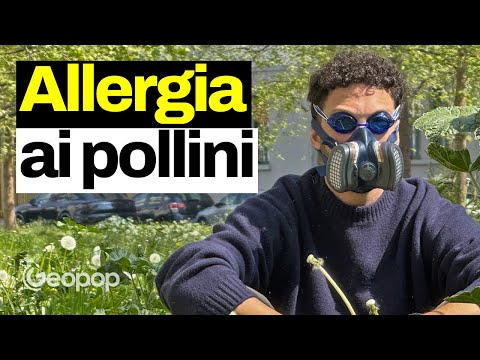 Cos'è l'allergia ai pollini, quali sono i rimedi e perché alcuni antistaminici fanno venire sonno