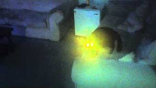 Лазерная кошка