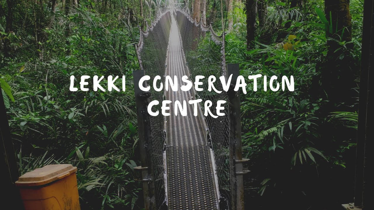 LEKKI CONSERVATION CENTRE VLOG || Places to visit in Lagos, Nigeria