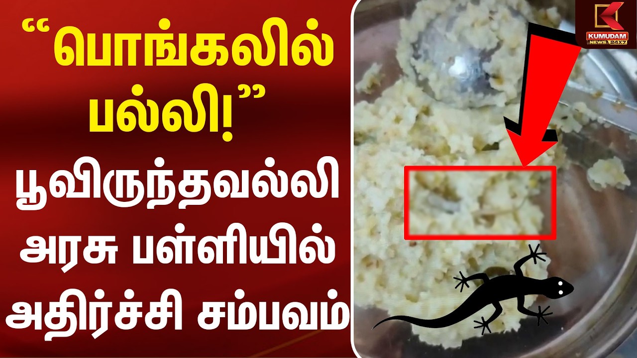 “பொங்கலில் பல்லி!” பூவிருந்தவல்லி அரசு பள்ளியில் அதிர்ச்சி சம்பவம் | Poonamalle Lizard |Kumudam News
