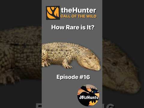 How Rare Is It? Piebald Saltwater Crocodile | Episode 16 #thehuntercallofthewild #thehuntercotw