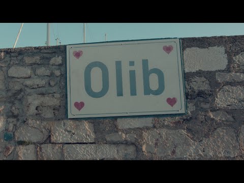 DAMIR RADOV - Lipo ti je spod Oliba more (OFFICIAL VIDEO) 4K