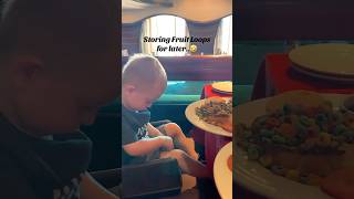 We are raising a squirrel 🐿️ apparently! #cruiselife #funny #cruiseship #carnivalcruise #cruisetok