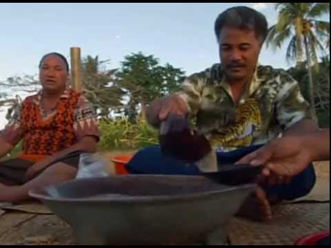 Wale Giganten der Meere in Gefahr