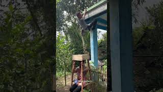 Download lagu P3gal ny4 mint4 4mpun!#comedy #shortvideo #top #treding #funnyvideo #vairalvideo #foryou mp3