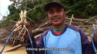Download lagu [World Theme Travel] Borneo the Last Tropical Rain Forest - Part1 Kinabalu The Blessedland mp3