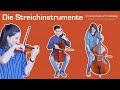 Die Streichinstrumente