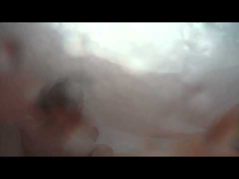 La  Cité  des  Donjons