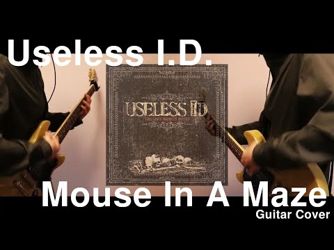 Mouse In A Maze - Useless Id