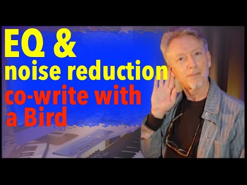 Field Recording EQ & Noise reduction | Klevgrand's Brusfri | Isotope Insight 2