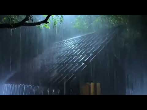 4 Hours Stunning Of 4K Underwater Wonders   Relaxing Music Coral Reefs   Colorful Sea Life 21