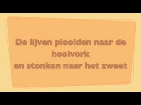 Wim De Craene - Tim lyrics