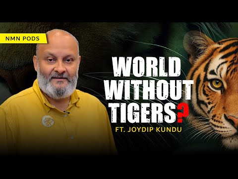 Tigers Are Not Man-Eaters. Humans Are the Real Predators | JOYDIP KUNDU | NMN PODS