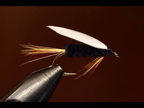 Friday Night Flies - The Lioness