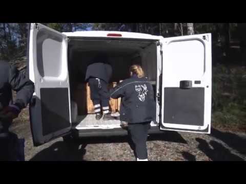 Autostrada chiusa per cattura caprioli