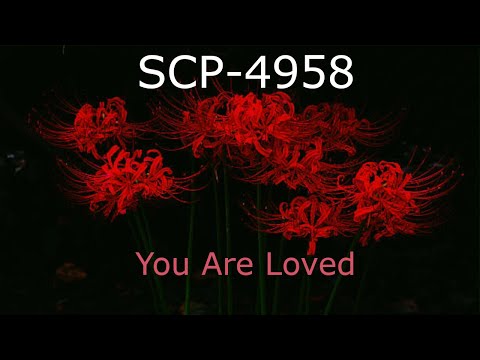 SCP-4958 | You Are Loved