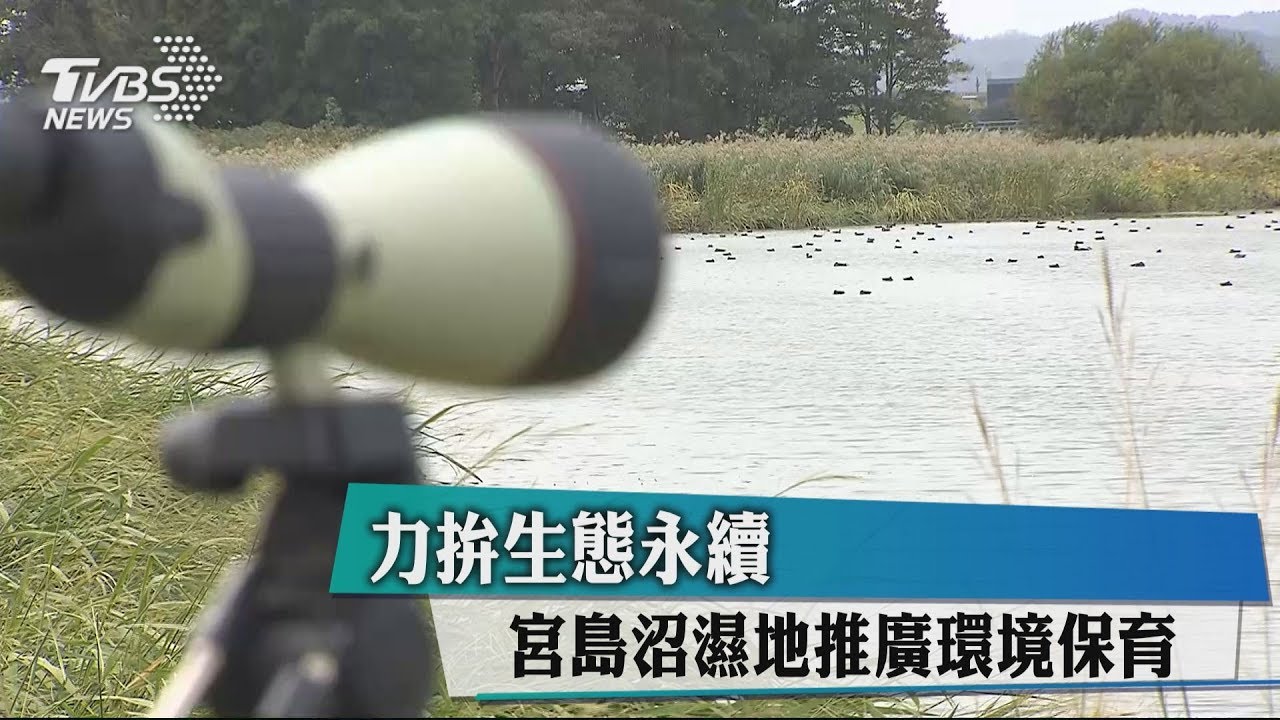 力拚生態永續 宮島沼濕地推廣環境保育