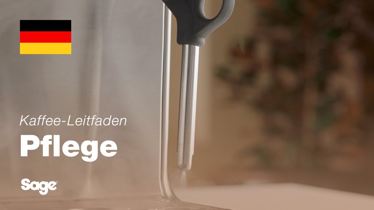 Reinigen und Durchspülen des Dampfstabs