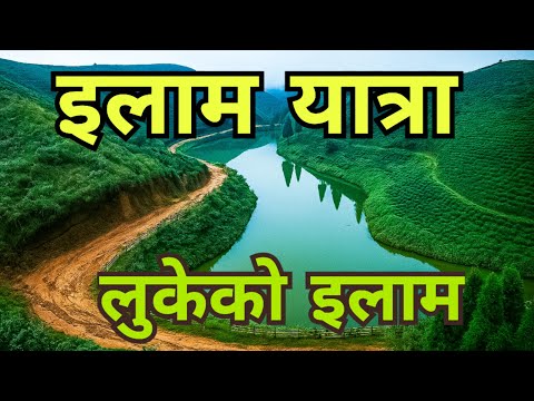 विश्वकै ठूलो लालिगुराँस, लुकेको इलाममा The World's Largest Rhododendron in Hidden Illam || ILAM TRIP