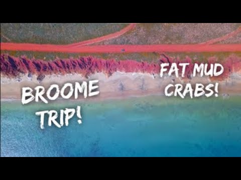 BROOME TRIP DAY 1! Mud crabbing in the creeks and light tackle fishing! Ep 16