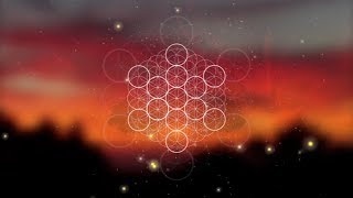 Download lagu Penyembuhan Suara untuk Burung & Teman Tanpa Bulu mp3 Download lagu Penyembuhan Suara untuk Burung & Teman Tanpa Bulu mp3