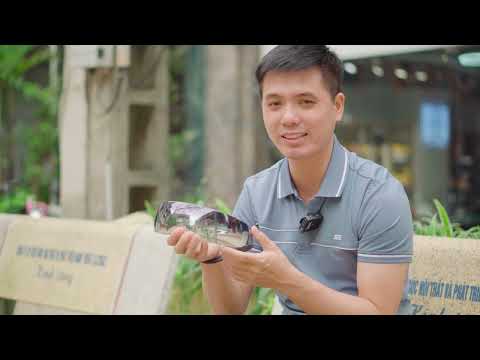 Đánh giá và trải nghiệm Máy massage mắt SKG E7