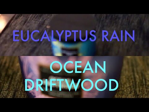 Candle the Truth  Eucalyptus Rain & Ocean Driftwood B&BW