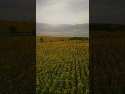 Oskemen. Kazakhstan #kazahkstan #katonkaragay #placestovisit