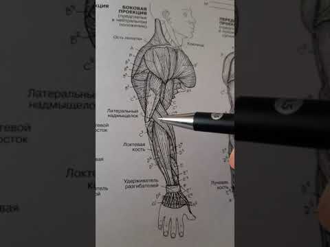 Ízületi károsodás a fájdalom csökkentése érdekében