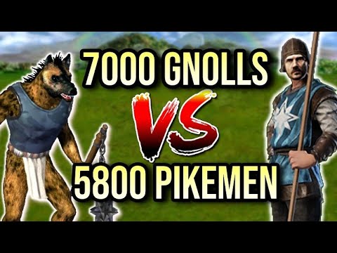 Heroes 3: Gnoll vs Pikeman (same value)