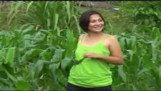 Download lagu MUZAWA - Havino S. Duha | Video mp3 Download lagu MUZAWA - Havino S. Duha | Video mp3