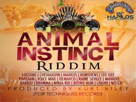 download lagu mp3 mp4 Animal Instinct Riddim, download mp3 Animal Instinct Riddim free download, download mp3 Animal Instinct Riddim