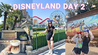 DISNEYLAND VLOG DAY 2 – California Adventure, Cars Land, Pixar Pier, Avengers Campus & more!