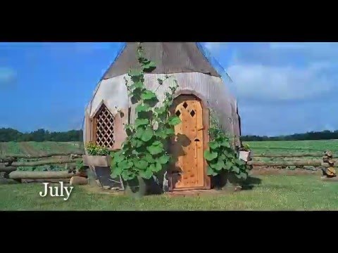 Gourd Growing Time Lapse Video at Meadowbrooke Gourds