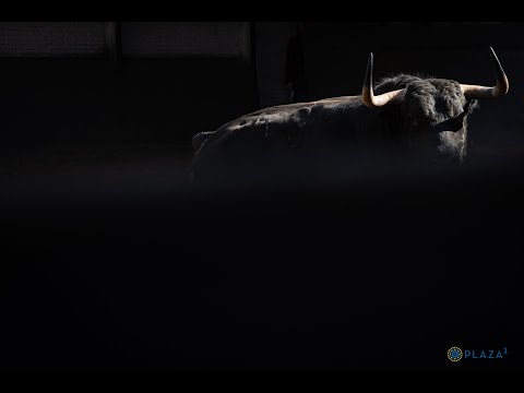 SORTEO | Corrida toros 19 mayo, Jandilla – Vegahermosa