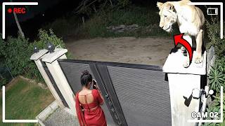 55 of the World's Luckiest People: Unbelievable Moments Caught on Camera