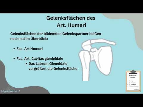 Kurz und Kompakt: Das Schultergelenk / Art. Humeri