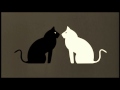 Goran Bregovic Black Cat White Cat 