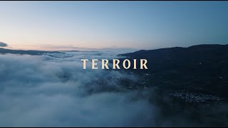 Terroir - We Drink Tequila - The Wine Barrel Series
