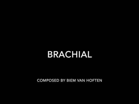 Brachial