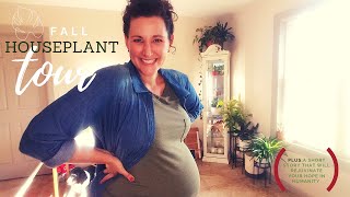 Fall Houseplant Tour