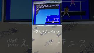 今日の検品　燃えろプロテニス　ファミコン