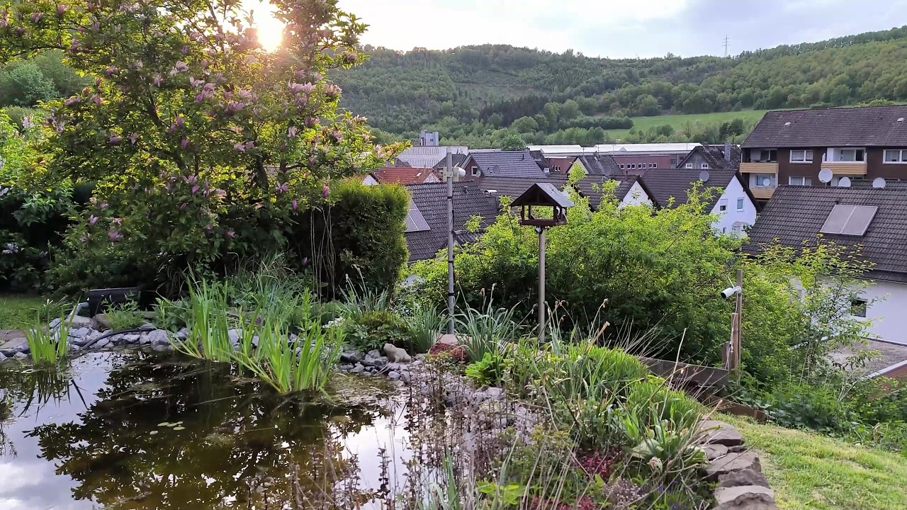 Kleiner Gartenrundgang mit Blick hinter die Kulissen | 15.05.2026